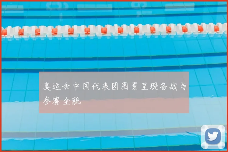 奥运会中国代表团图景呈现备战与参赛全貌