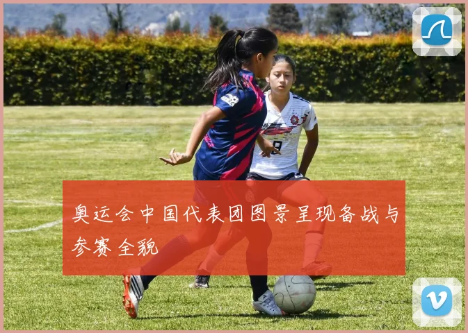 奥运会中国代表团图景呈现备战与参赛全貌