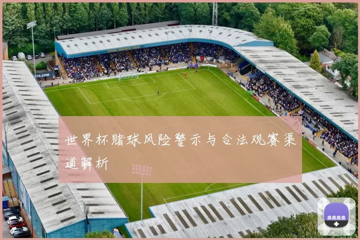 世界杯赌球风险警示与合法观赛渠道解析