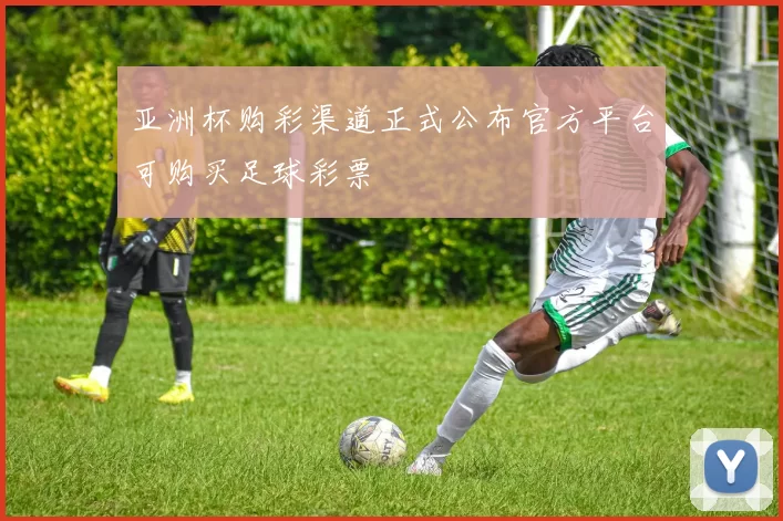 亚洲杯购彩渠道正式公布官方平台可购买足球彩票